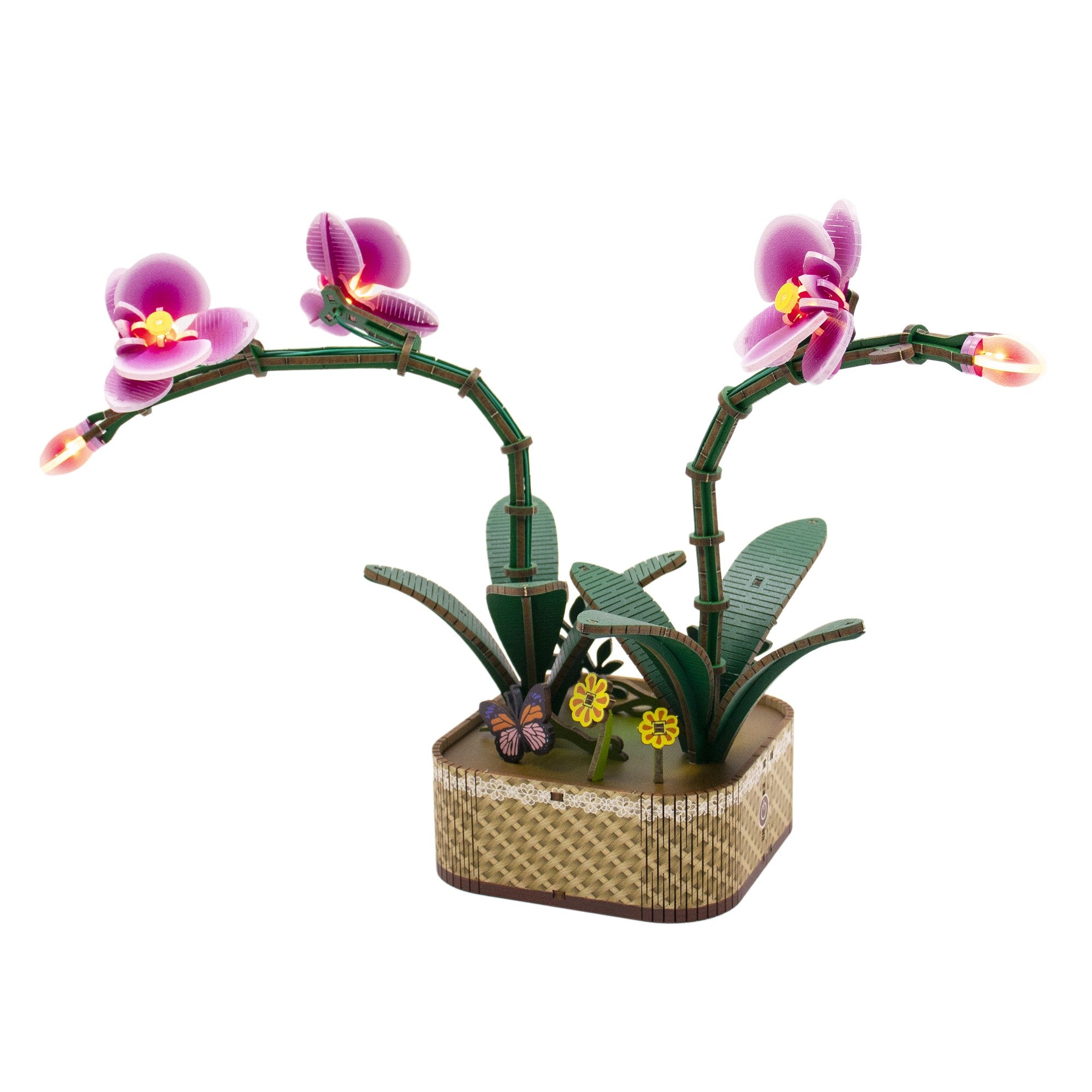 Hands Craft | Purple Moth Orchid