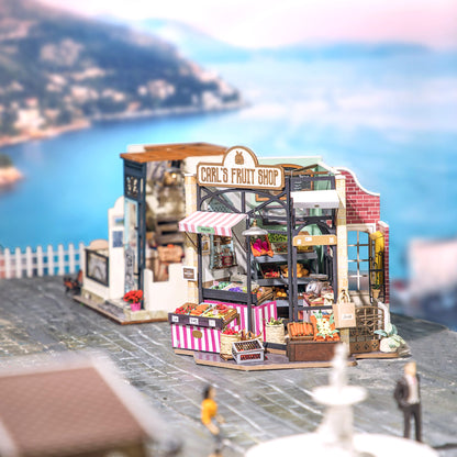 Hands Craft DIY Miniature House Kit | Carl's Fruit Shop