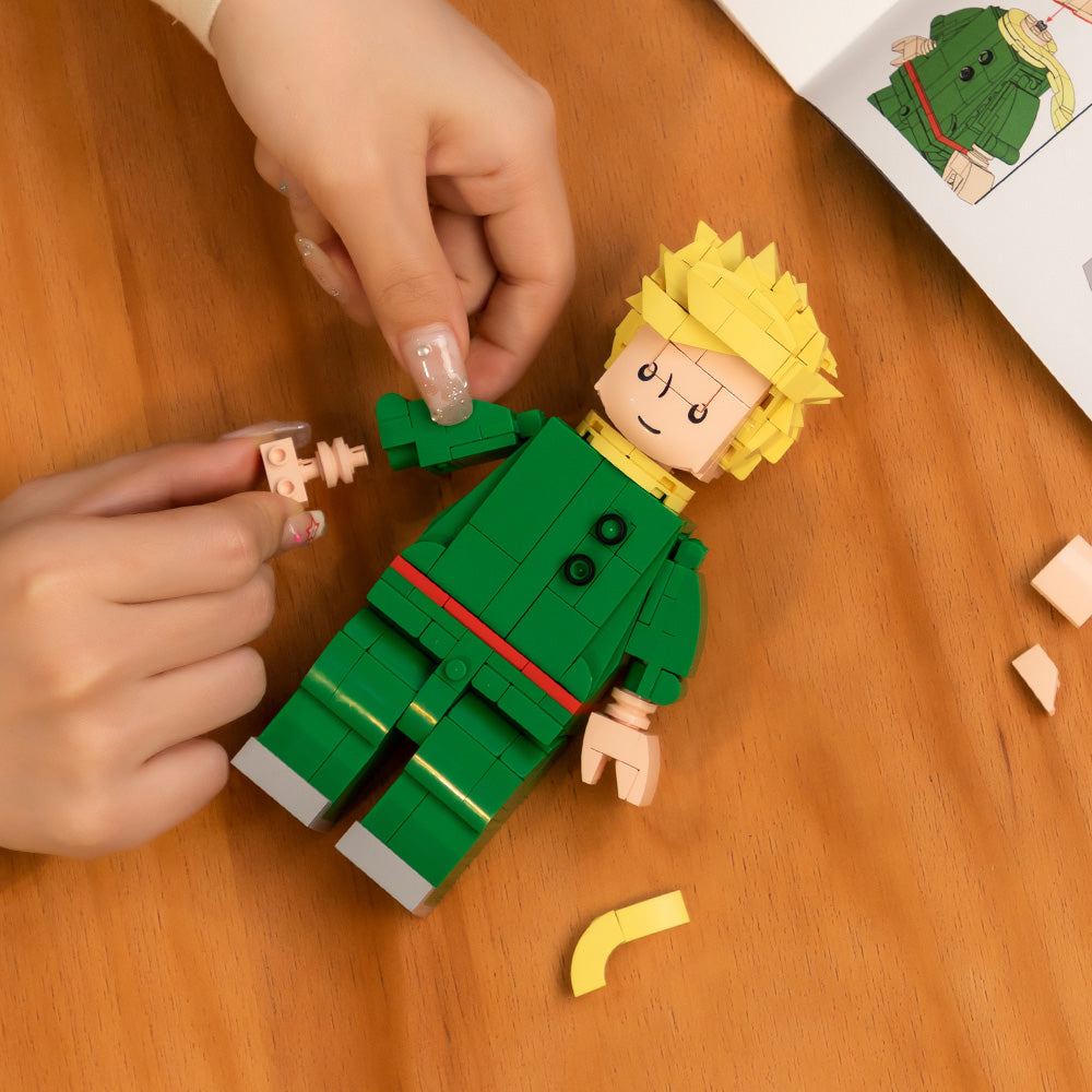 Hands Craft DIY Miniatures Building Bricks | The Little Prince