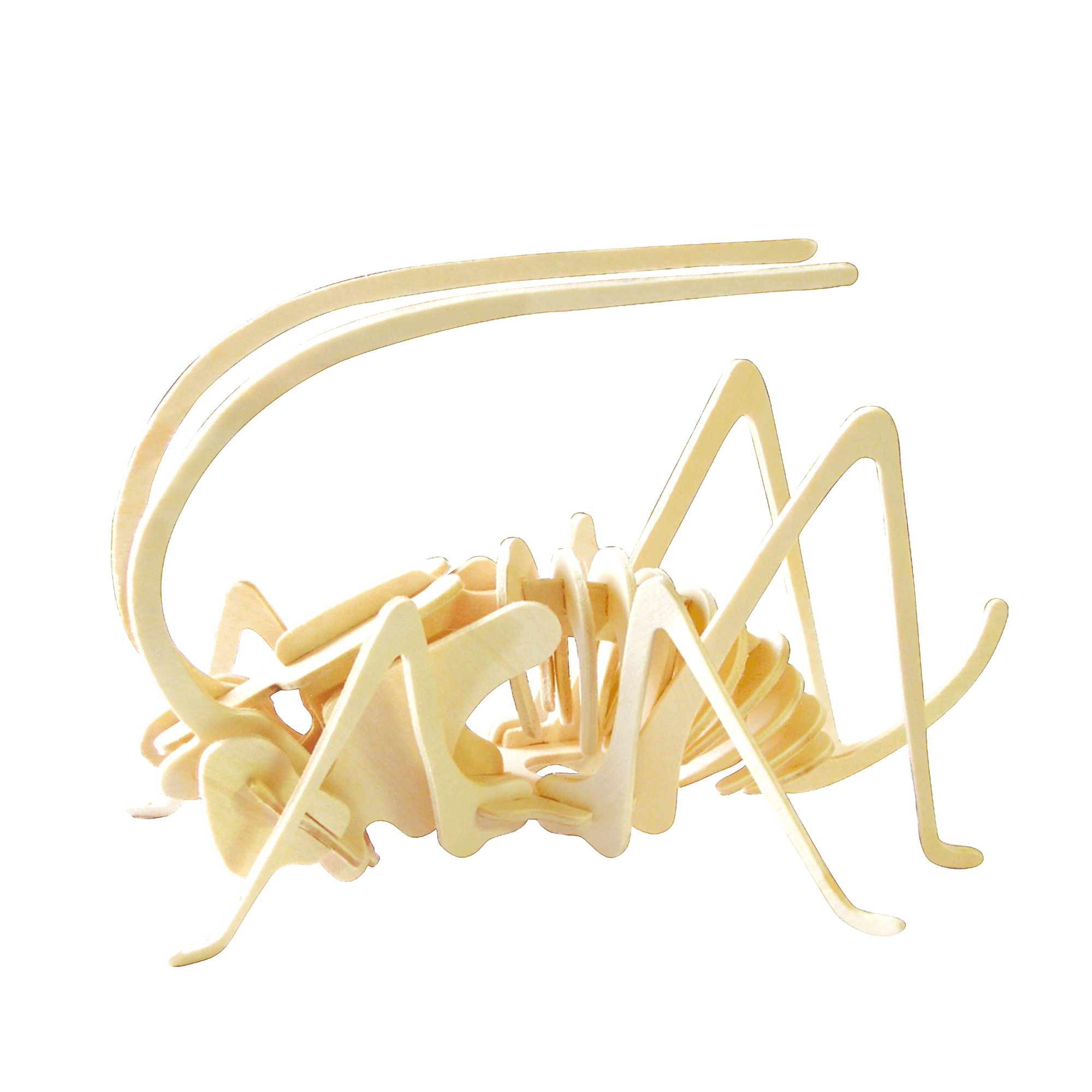 Hands Craft Classic Wooden Puzzle Bundle | Insects & Arachnids 6-pack